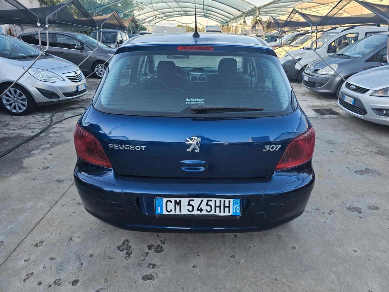 Peugeot 307 1.6 16V 5p. XSI - GPL