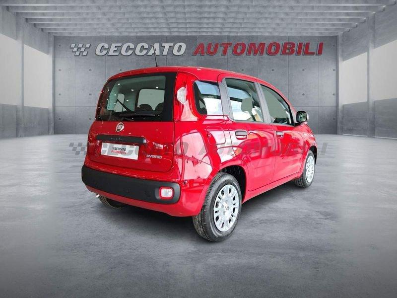 FIAT Panda Panda 1.0 firefly hybrid s&s 70cv