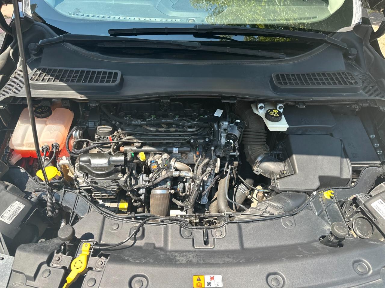 Ford Kuga 2.0 TDCI 150 CV S&S 4WD