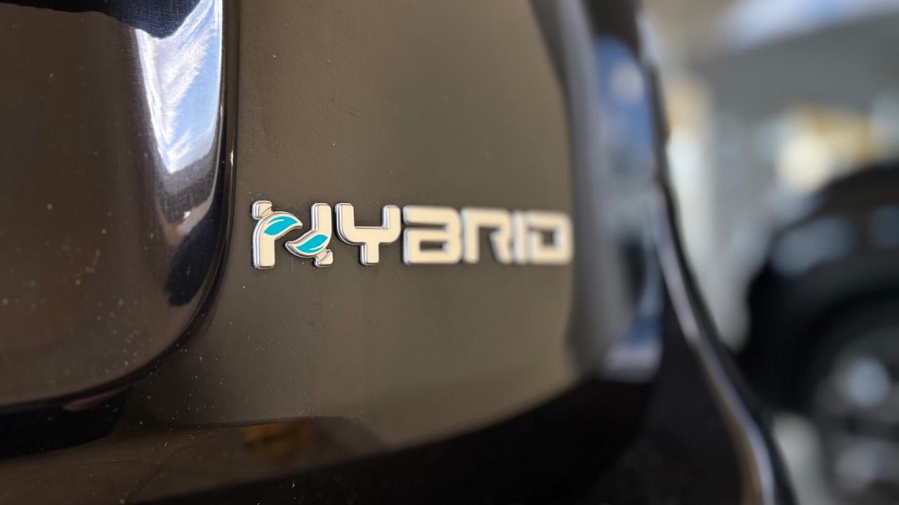 Fiat Panda Cross 1.0 FireFly S&S Hybrid