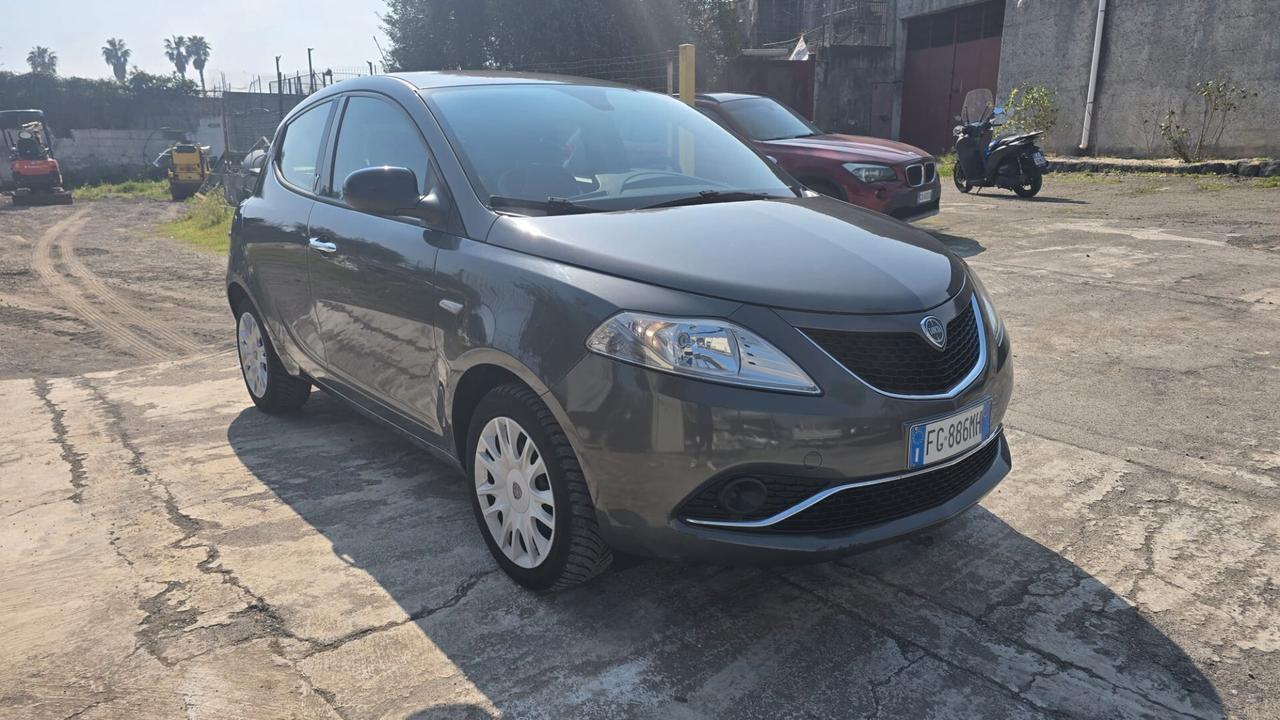 Lancia Ypsilon 1.3 MJT 16V 95 CV 5 porte S&S Platinum