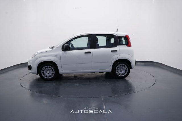 FIAT New Panda My25 1.0 FireFly S&S Hybrid