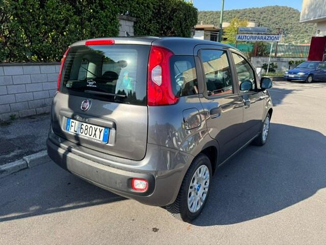 FIAT Panda 3ª serie Panda 1.2 Pandazzurri