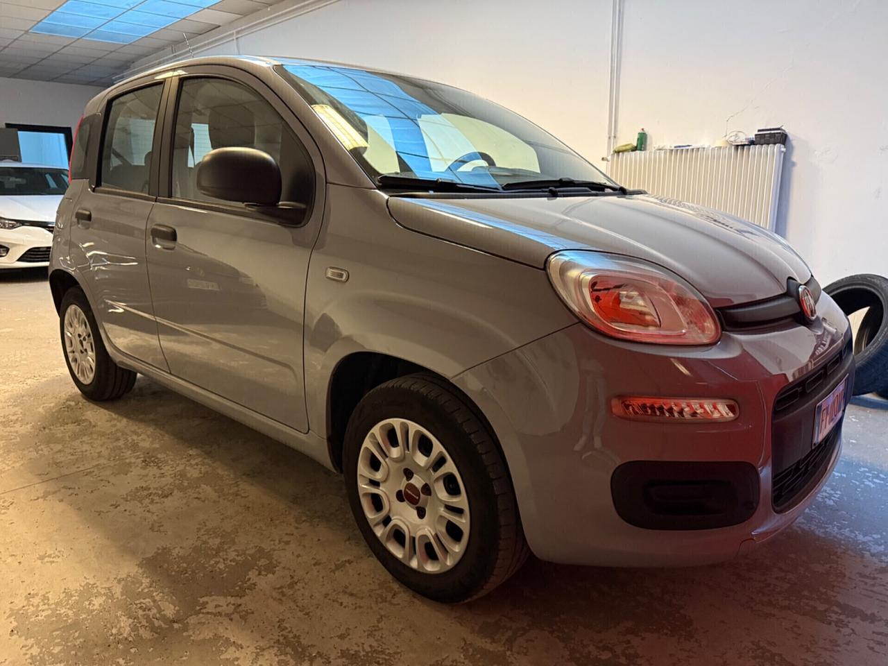 FIAT PANDA 1.2 69 CV NEOPATENTATI OCCASIONE