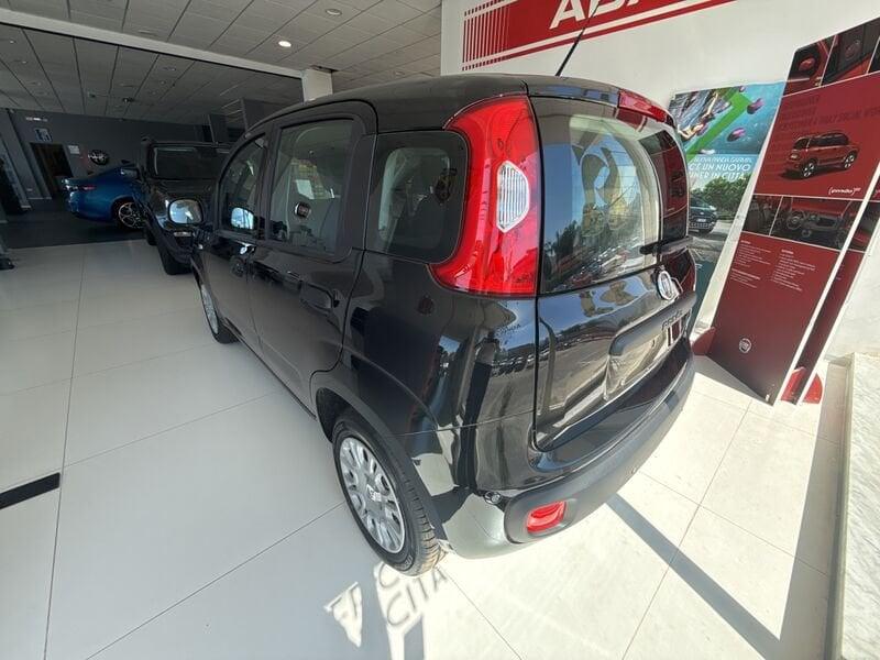 FIAT Panda N. 1.0 70cv Hybrid Panda
