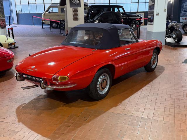 ALFA ROMEO Spider Osso di Seppia 1750 Veloce