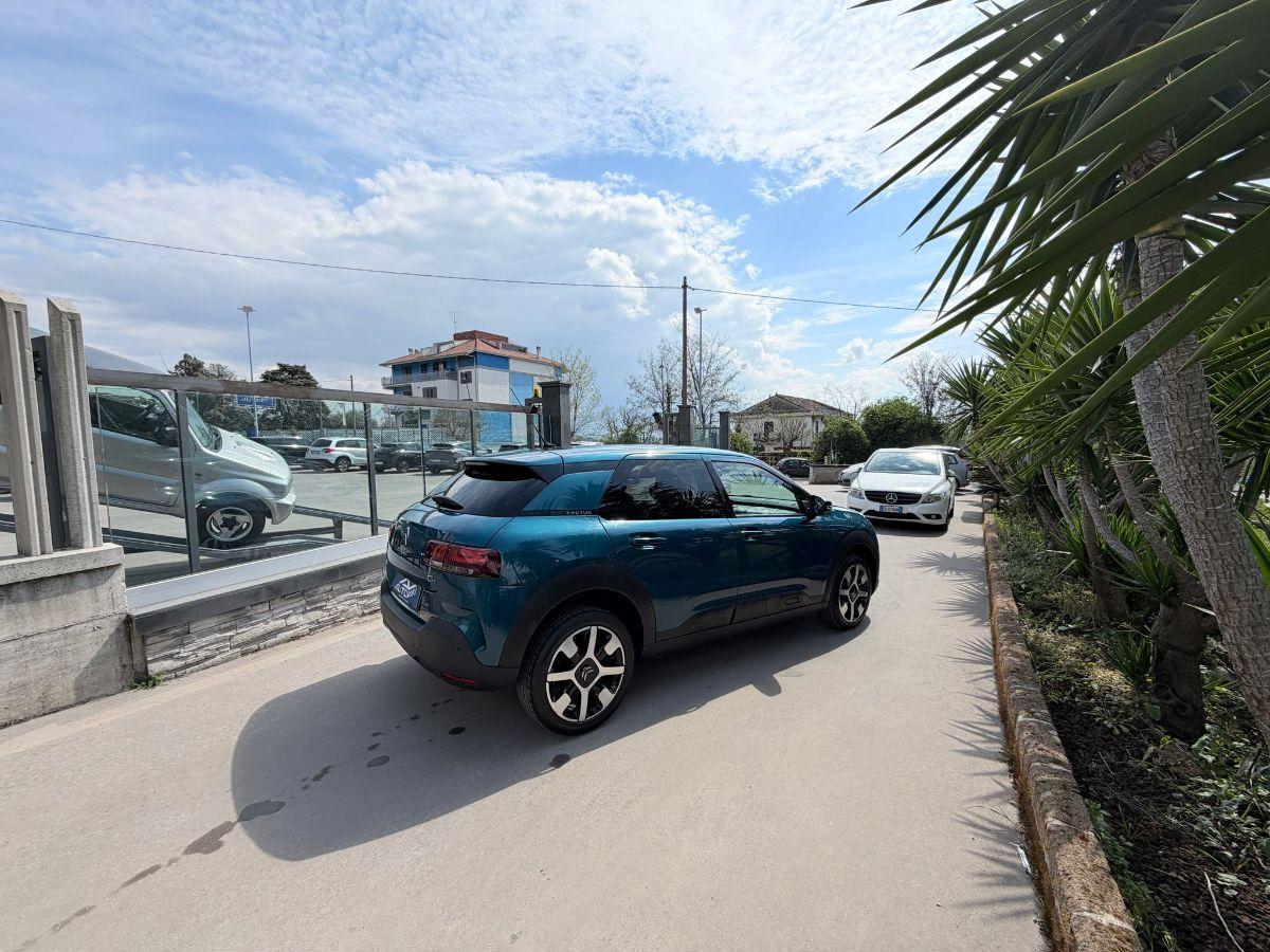 CITROEN - C4 Cactus - PureTech 110 S&S Shine