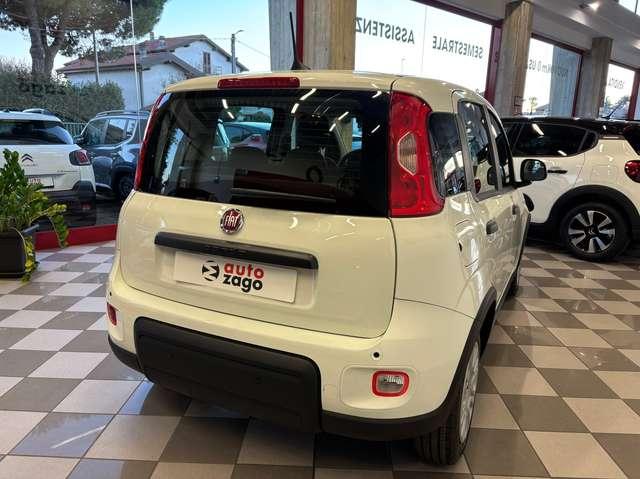 Fiat Panda 1.0 Firefly Hybrid S&S Pandina 5 POSTI