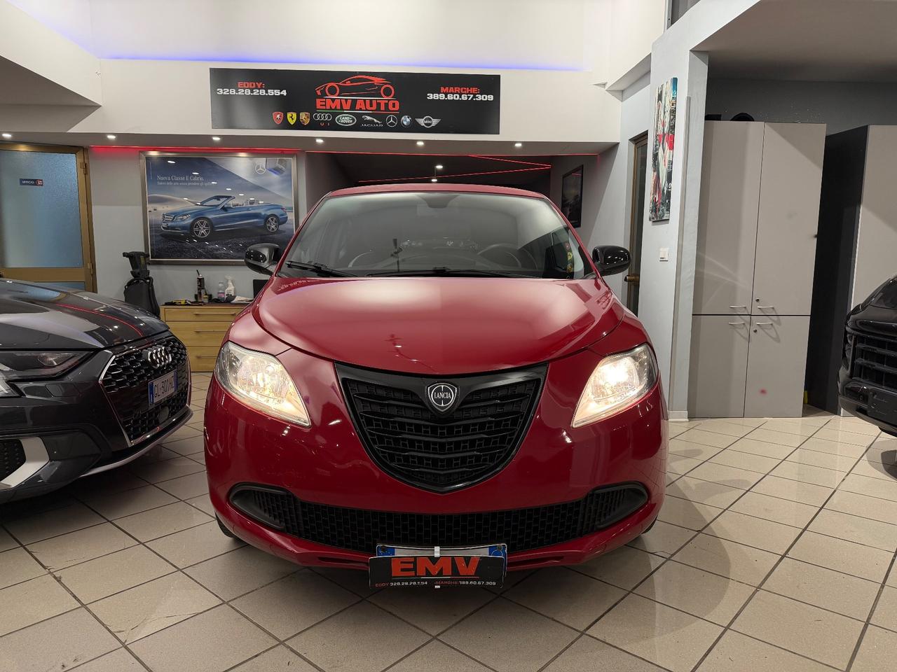 Ypsilon 1.2 69 CV 5 porte Elefantino
