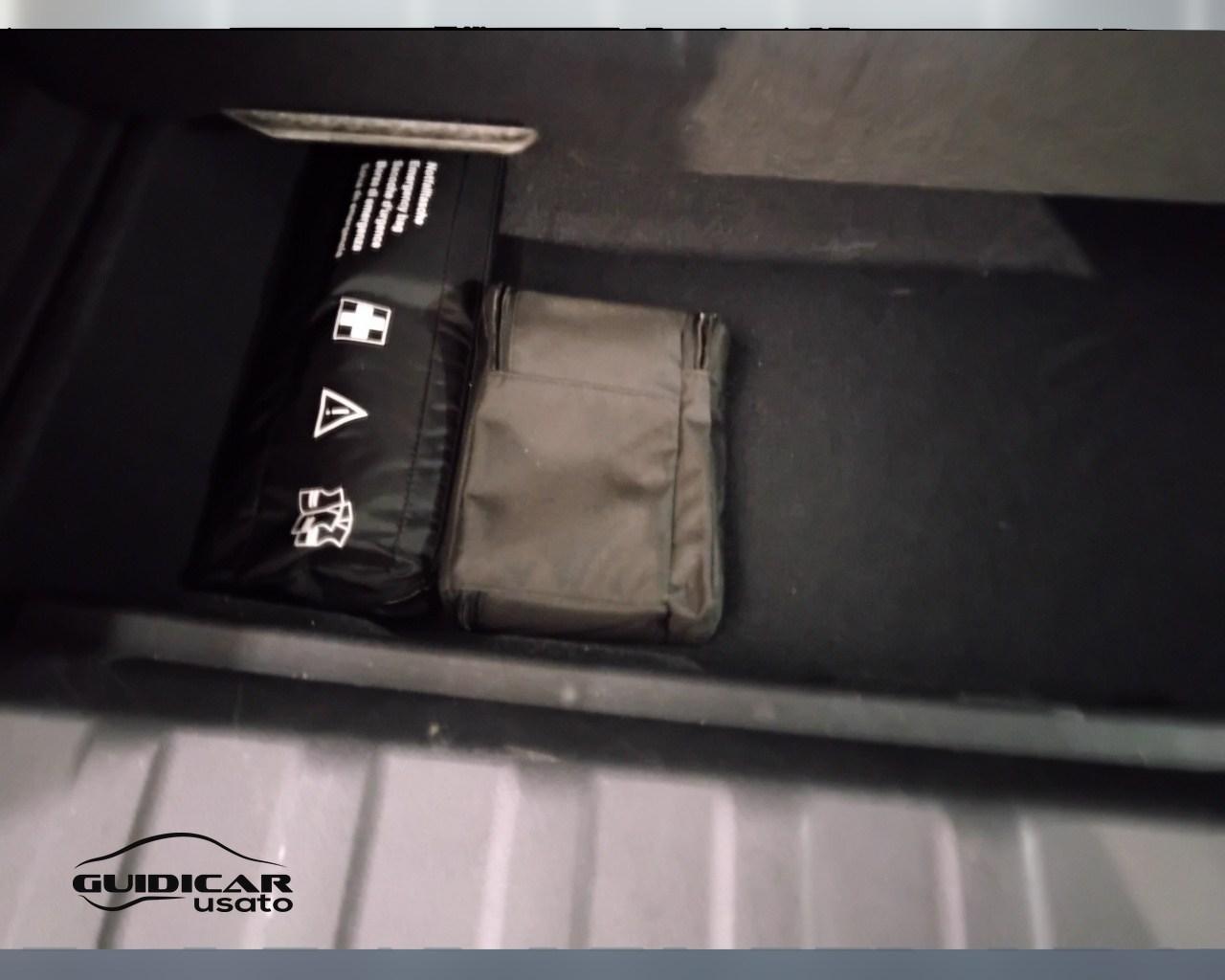 BMW X2 U10 - X2 sdrive 18d auto
