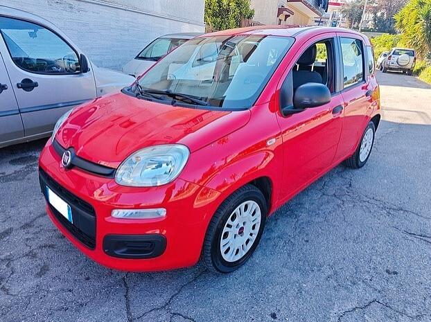 FIAT Panda 1.2 Benzina - 2017