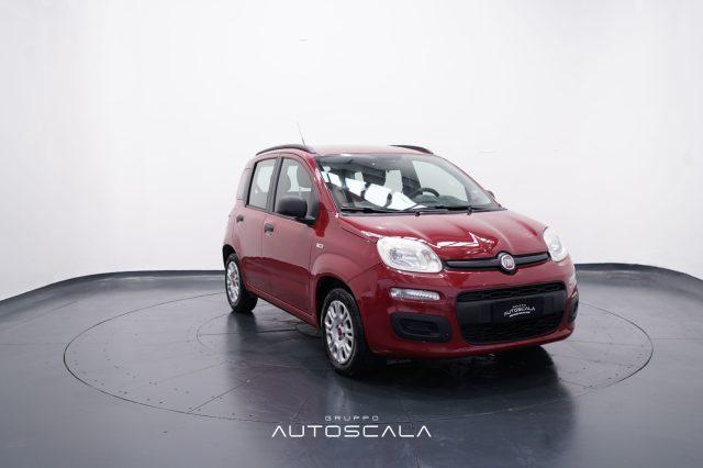FIAT Panda 1.2 69cv Easy