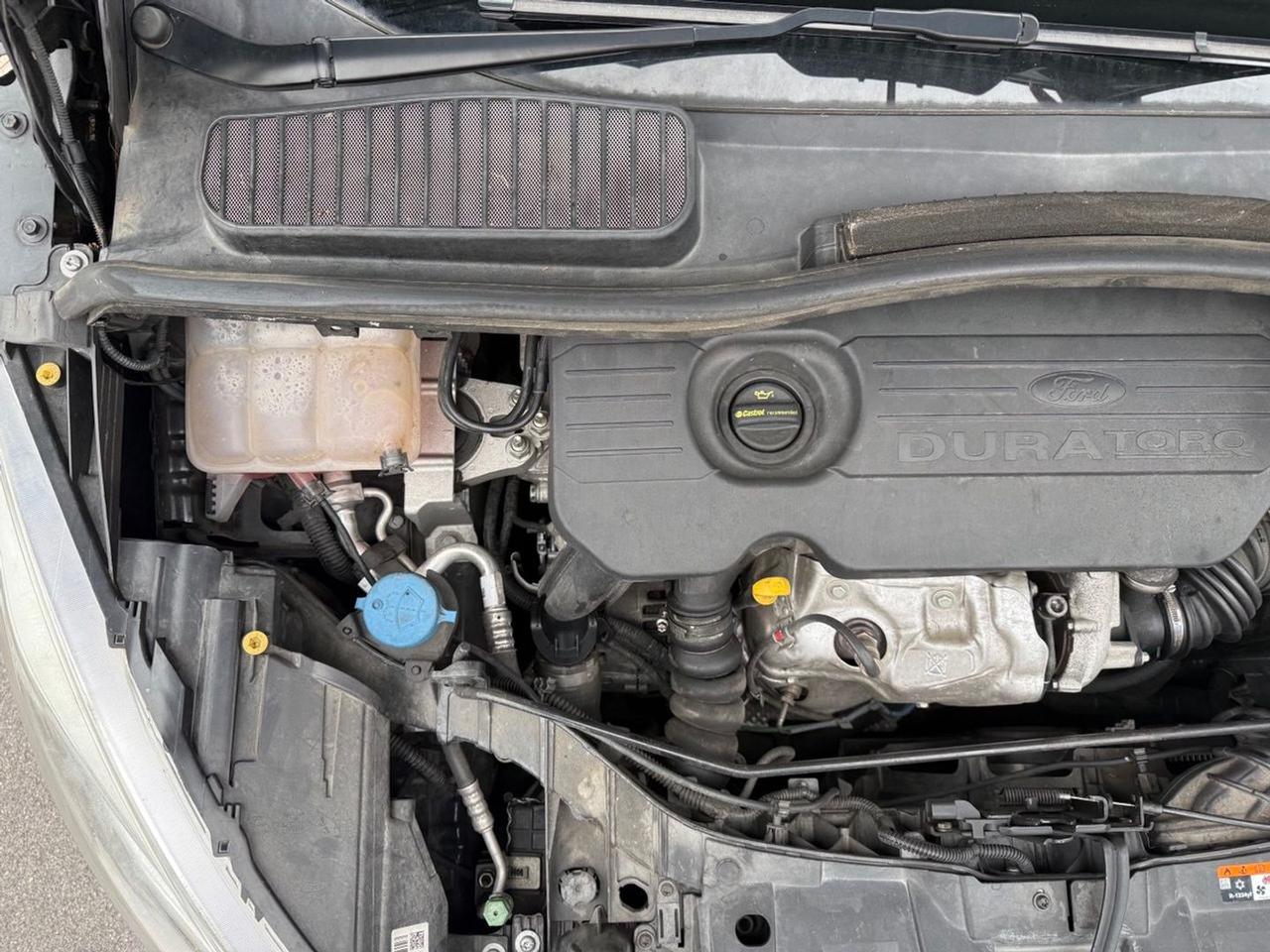 Ford C-Max 1.5 TDCi 120CV Powershift S #9658