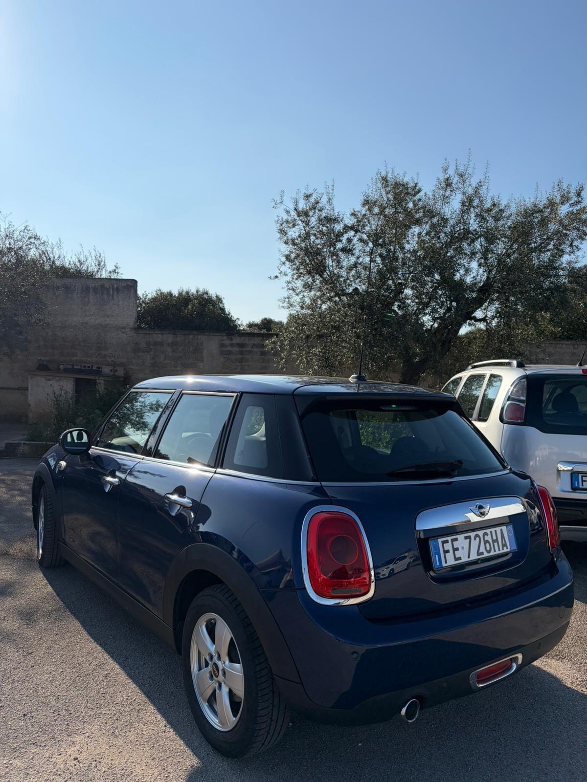 Mini 1.5 One D Hype