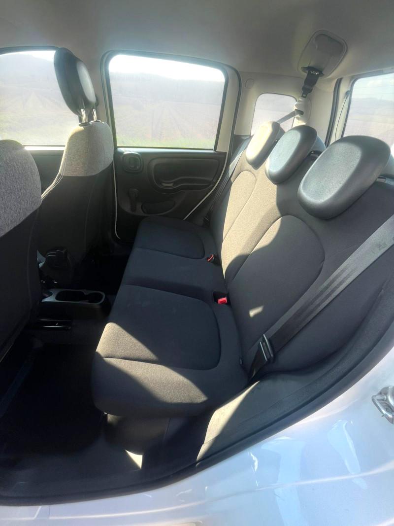 FIAT Panda 3ª serie Panda 1.0 FireFly S&S Hybrid