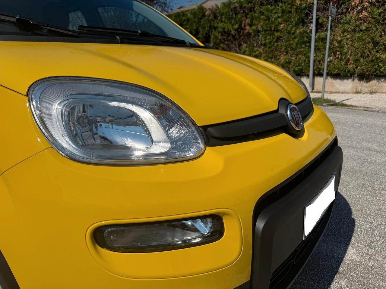Fiat Panda 1.0 FireFly S&S Hybrid Pandina- 1.516 KM – 2024