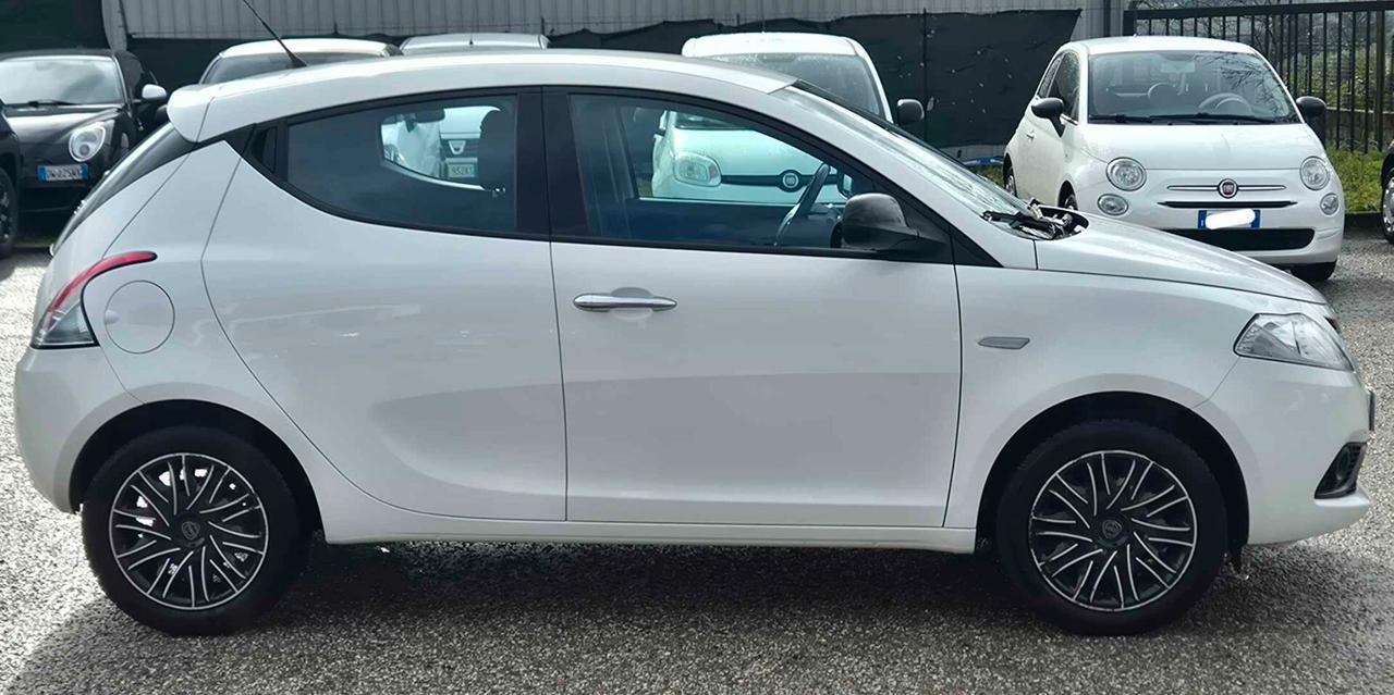 Lancia Ypsilon 1.2 69 CV 5 porte Gold