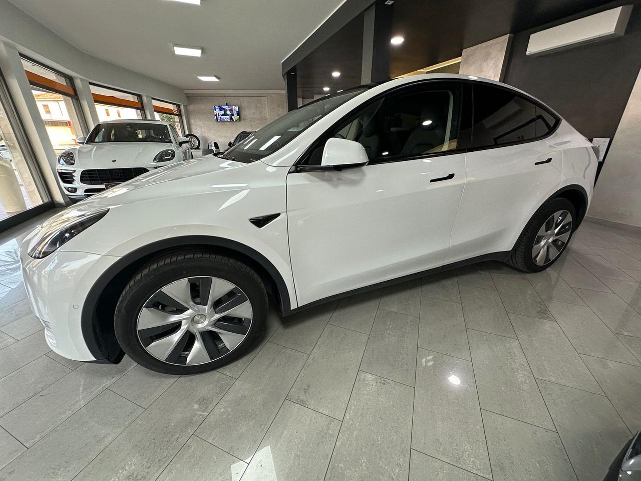 Tesla Model Y Dual Motor Long Range AWD #7384