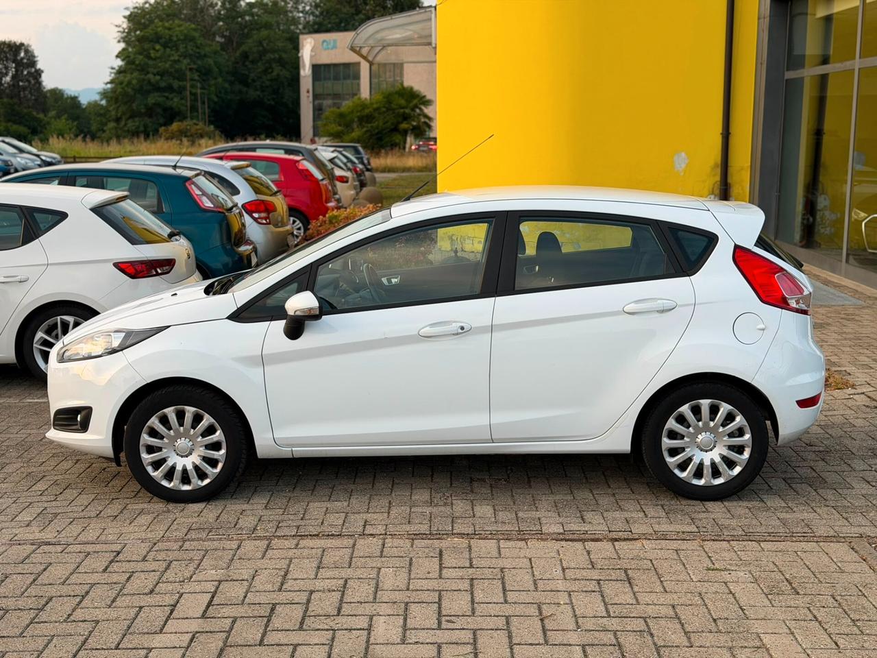 Ford Fiesta 1.0 80CV 5 porte Black & White Edition