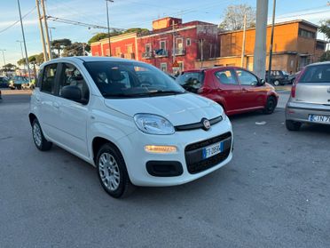 Fiat Panda 1.2 Easy 2019 PERFETTA