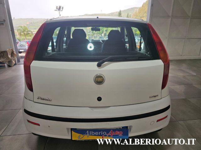 FIAT Punto 1.3 Multijet 16V 5 porte Active