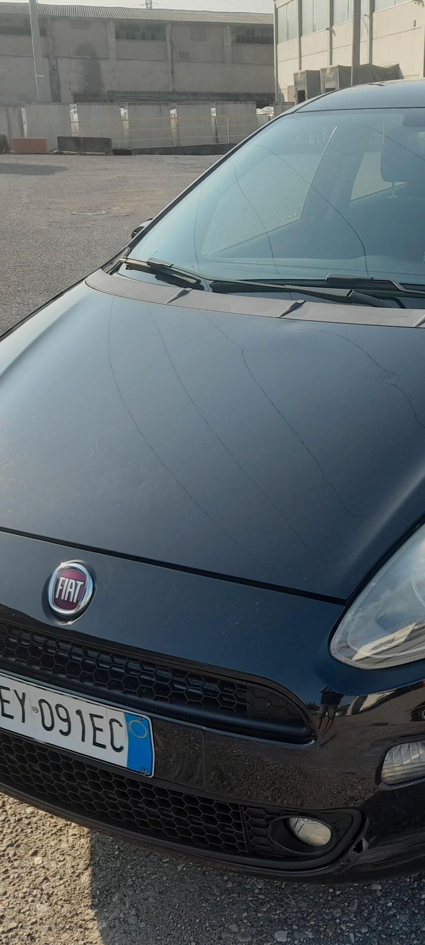 Fiat Punto 1.2 8V 5 porte Lounge