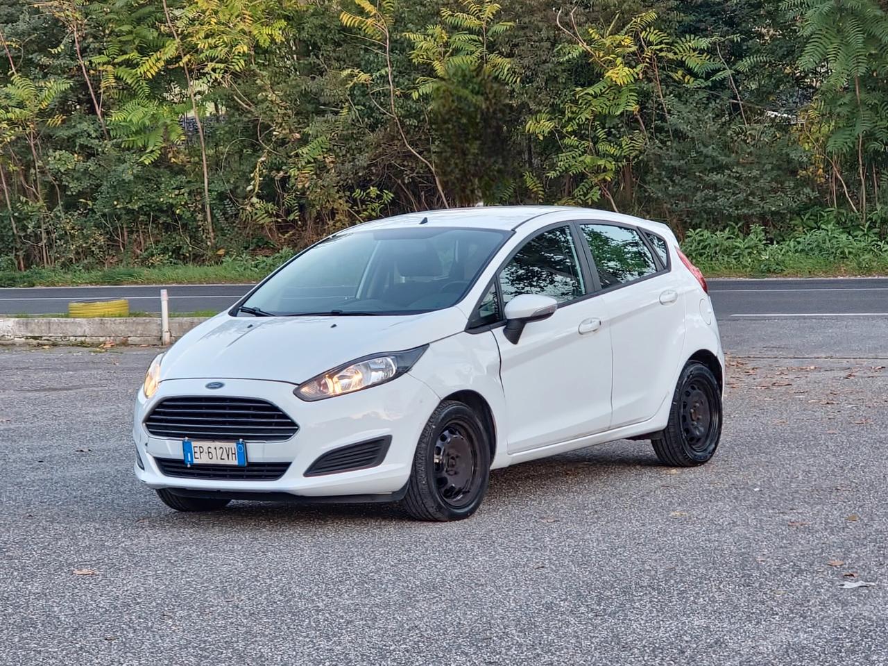 Ford Fiesta 1.5 TDCi 75CV 5 porte Titanium 2013-E5B NEO