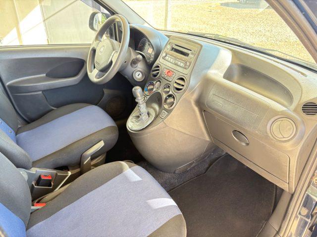 FIAT Panda 1.2 Dynamic OK NEOPATENTATI PRONTA CONSEGNA