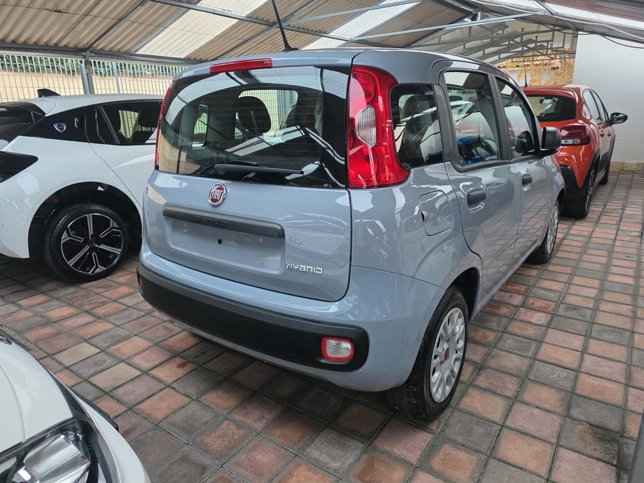 AUTO IN ARRIVO Fiat Panda 1.0 FireFly S&S Hybrid