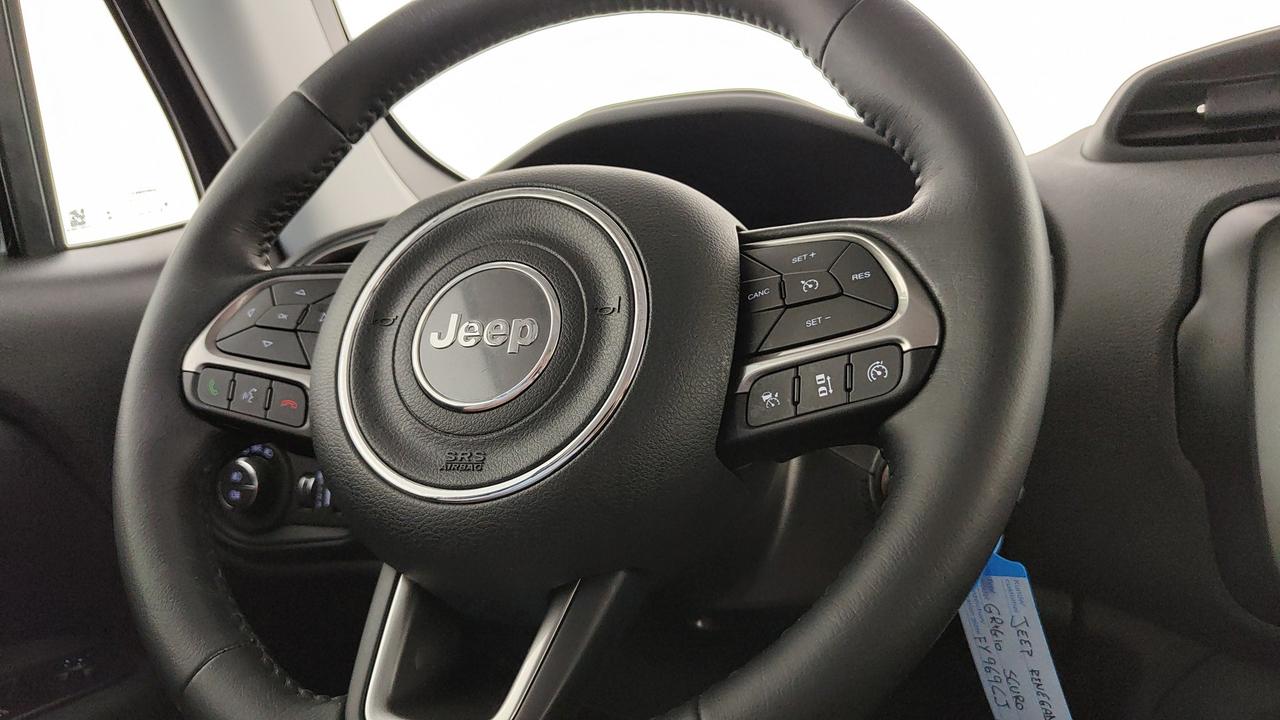 JEEP Renegade 2019 - Renegade 1.6 mjt Limited 2wd 120cv