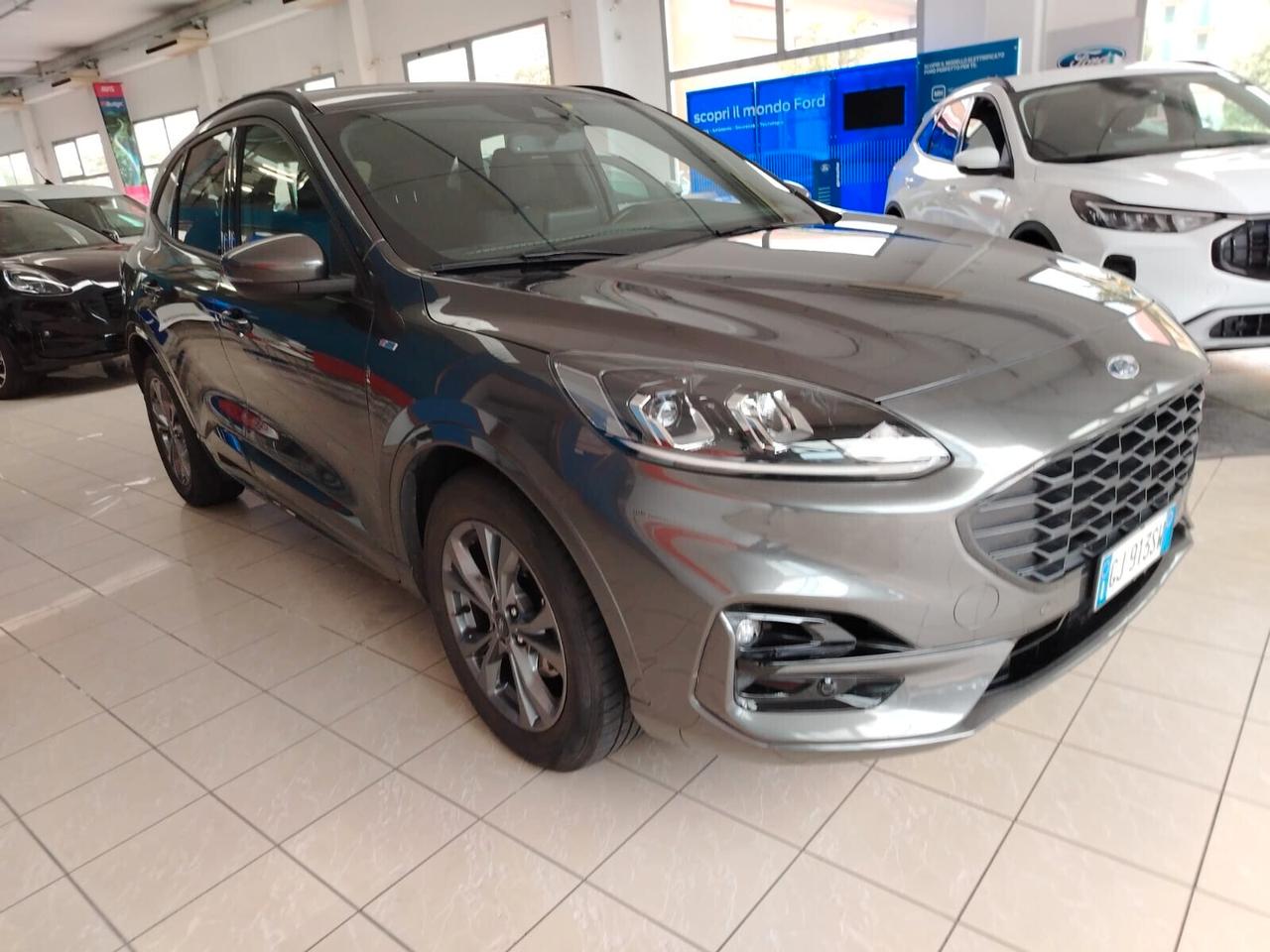 Ford Kuga 1.5 EcoBlue 120 CV aut. 2WD ST-Line