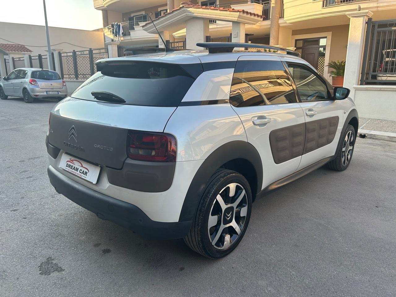 Citroen C4 Cactus BlueHDi 100 Rip Curl