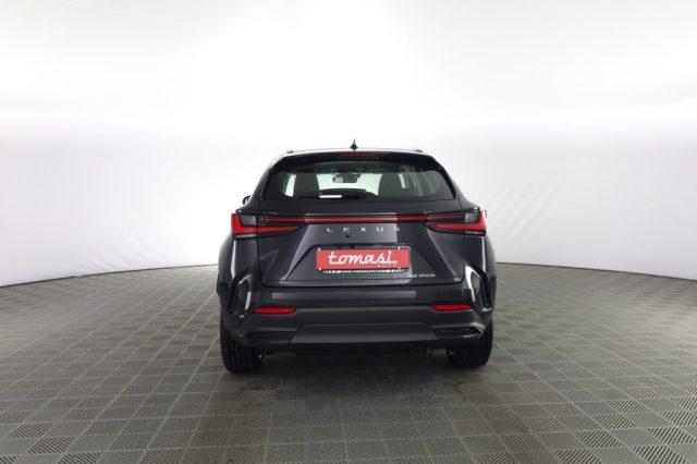 LEXUS Other NX NX Hybrid 4WD Business