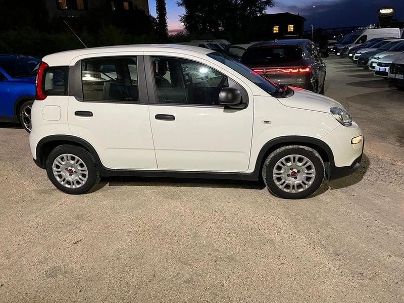 FIAT Panda Panda 1.0 FireFly S&S Hybrid