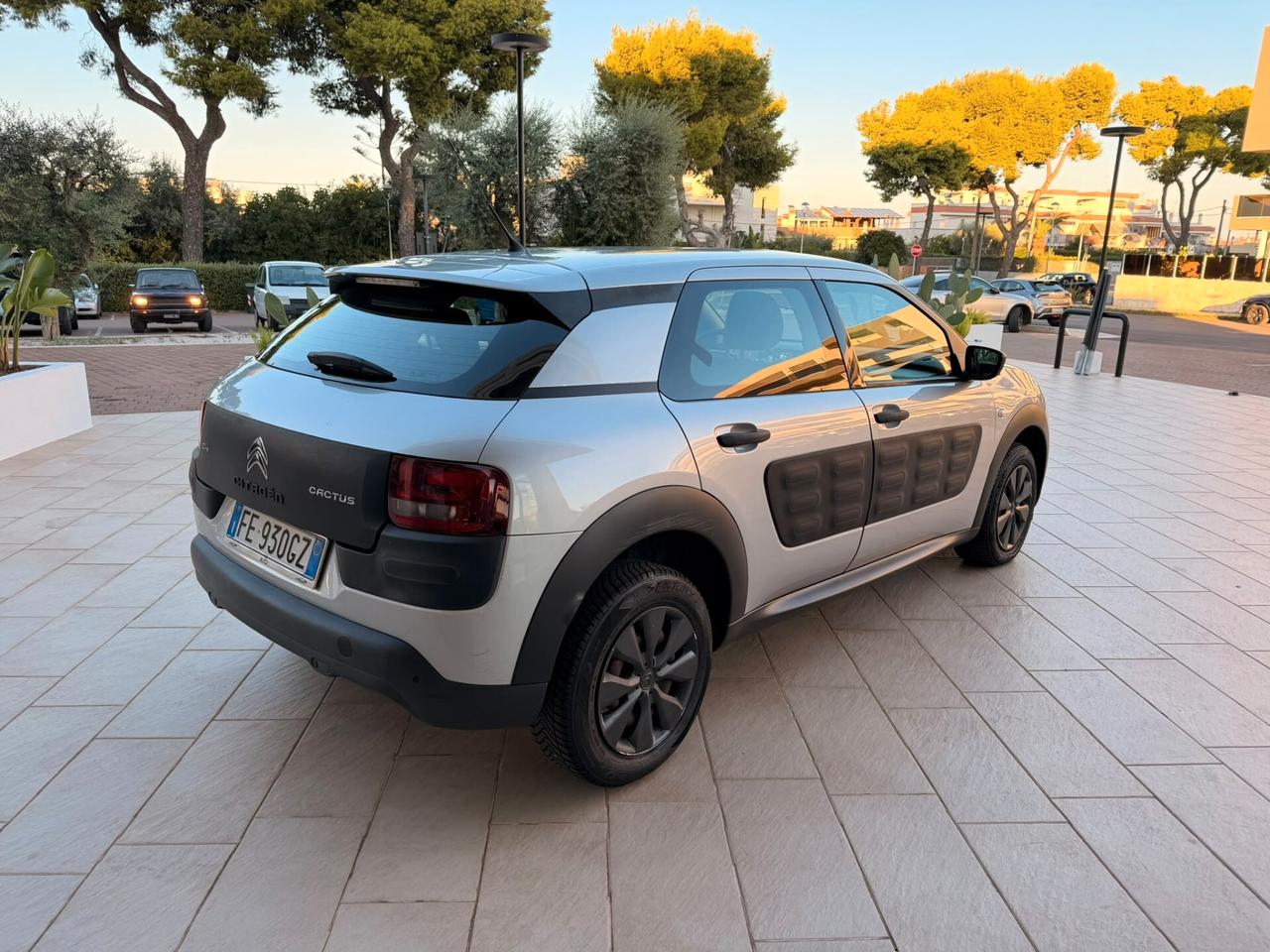 Citroen C4 Cactus BlueHDi 100 Shine