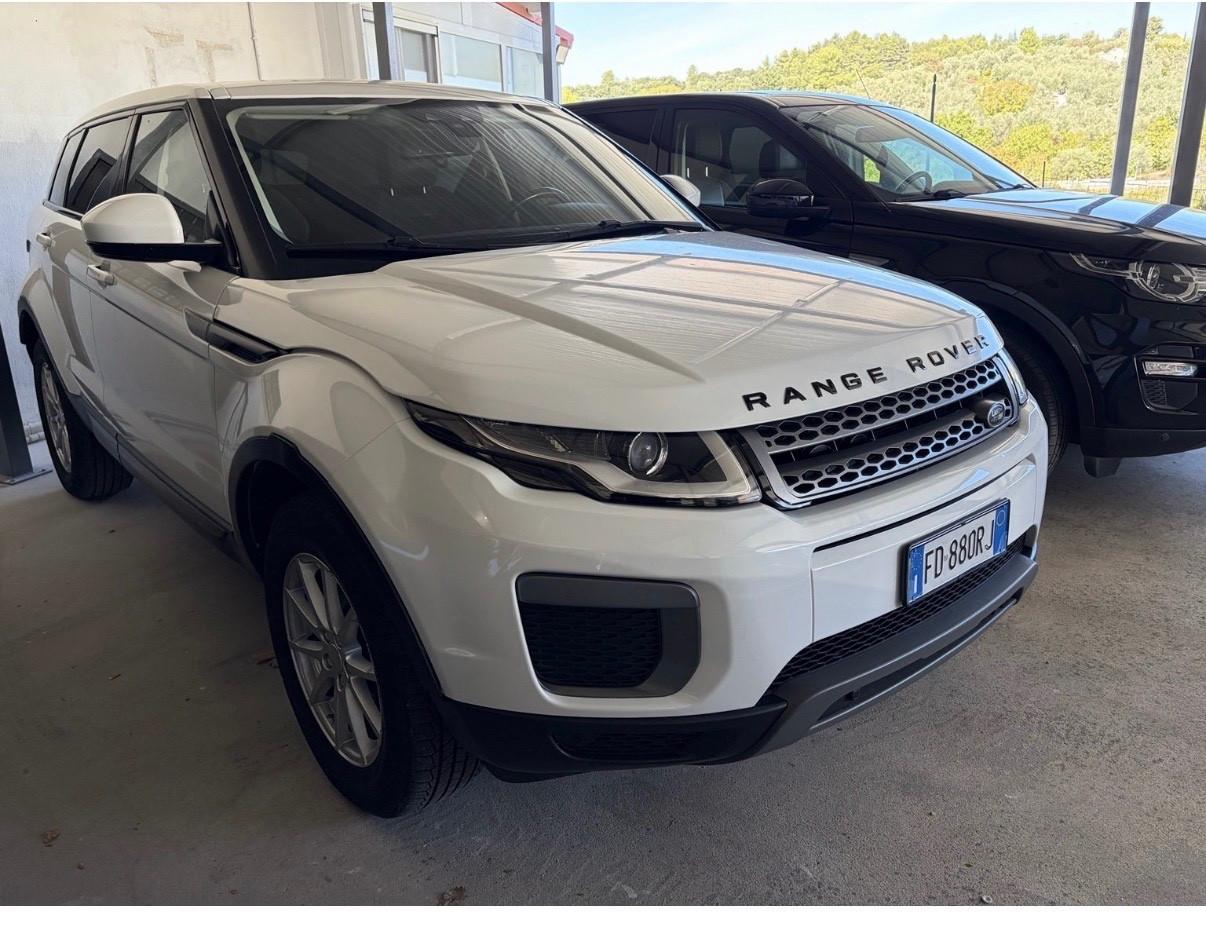 Land Rover Range Evoque 2.0 TD4 150 CV 5p. Business Edition