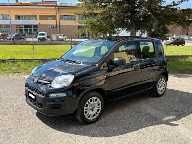 Fiat Panda 1.2 Easy 5 posti iva esposta