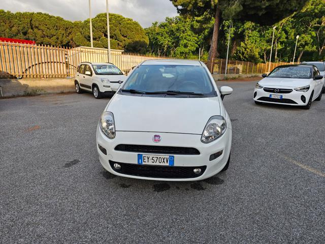FIAT Punto 1.3 MJT II 75 CV 5 porte Street