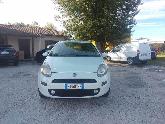 FIAT Punto 1.4 8V 5 porte Natural Power Lounge