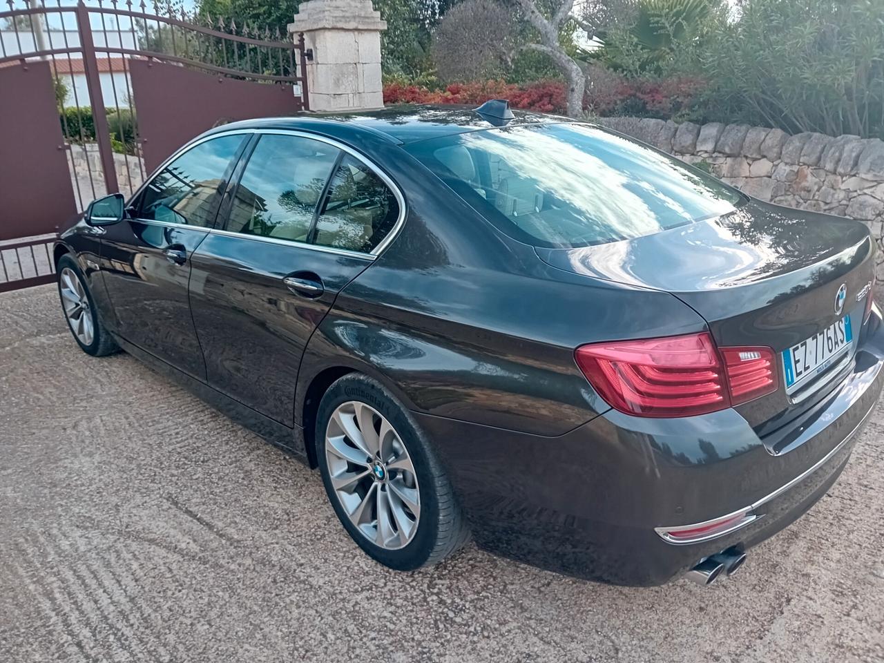 Bmw 520 520d berlina luxury