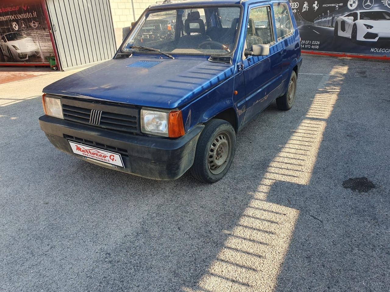 Fiat Panda 1100 i.e. cat College