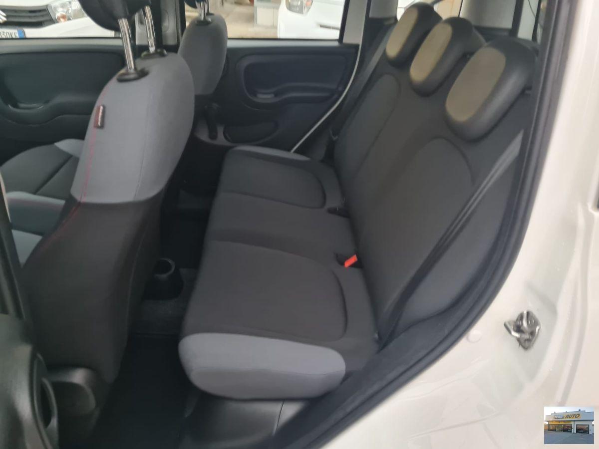 FIAT Panda 1.2 Trussardi Benzina-Neopatentati-2019