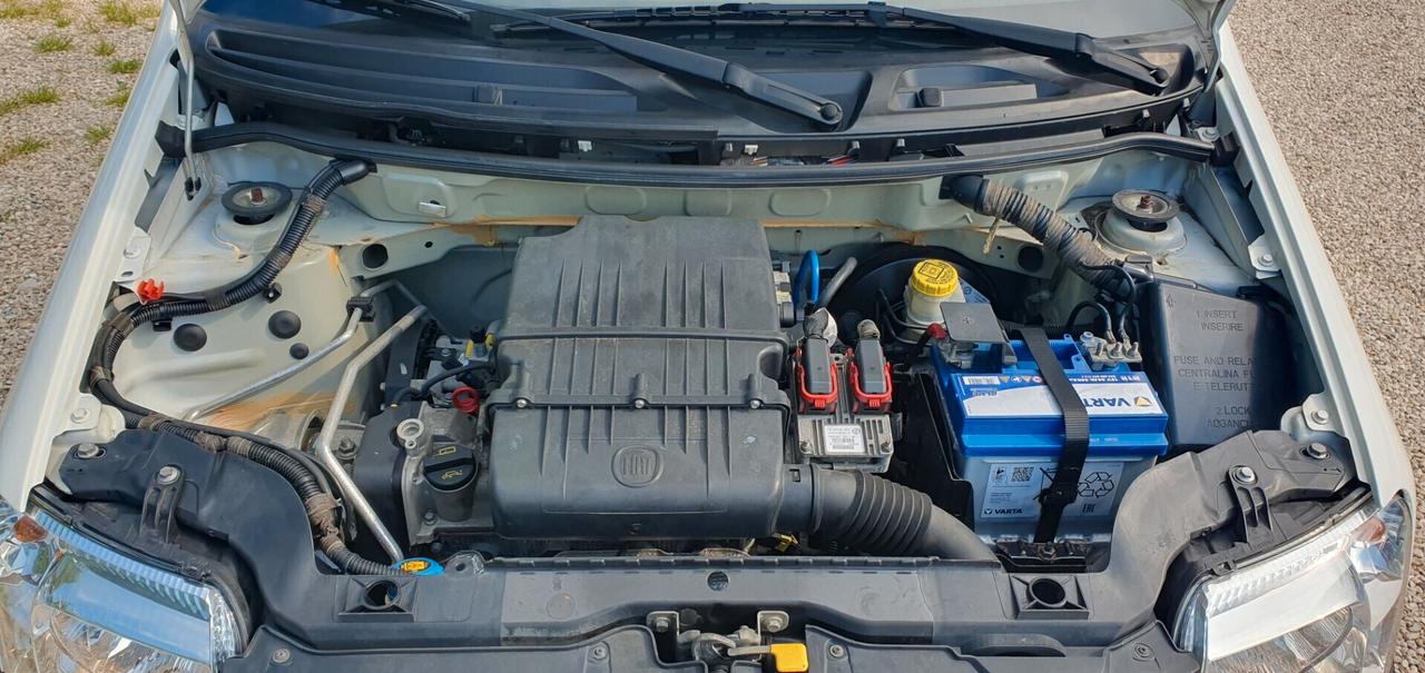 Fiat Panda 1.2 Dynamic pochi km certificati