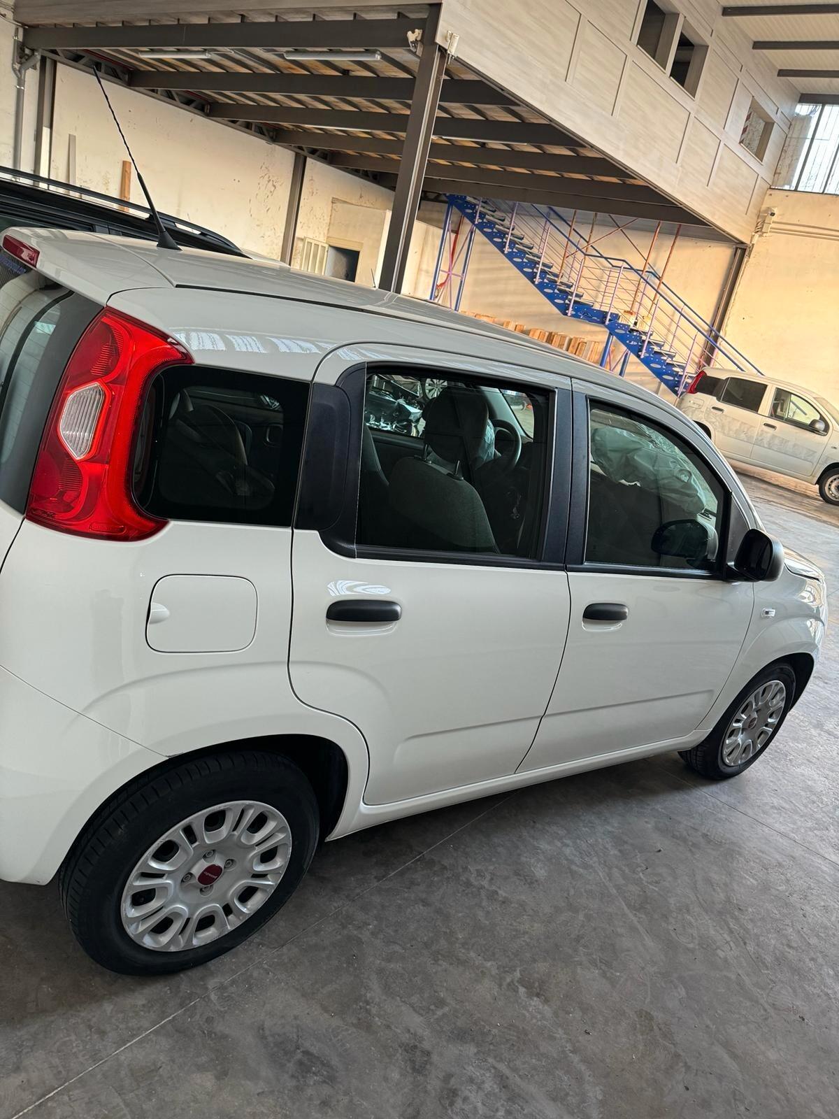 Fiat Panda Cross 1.0 FireFly S&S Hybrid