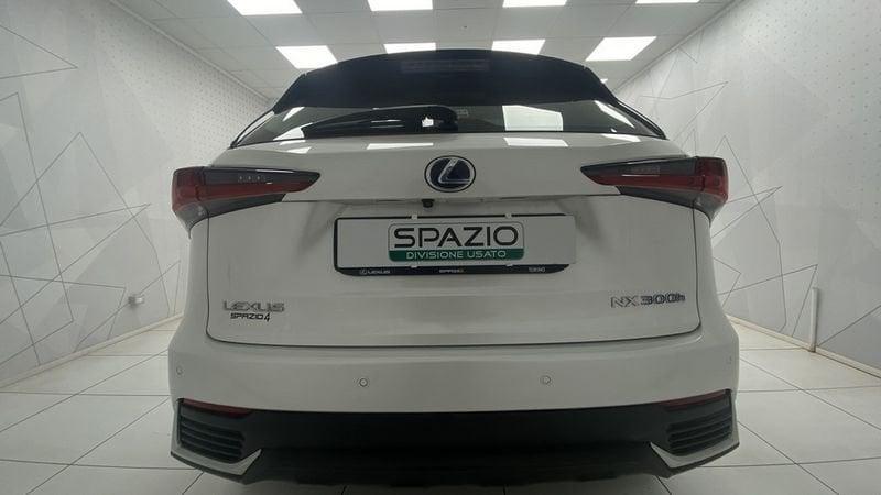 Lexus NX I 2018 300h 2.5 Premium 4wd cvt