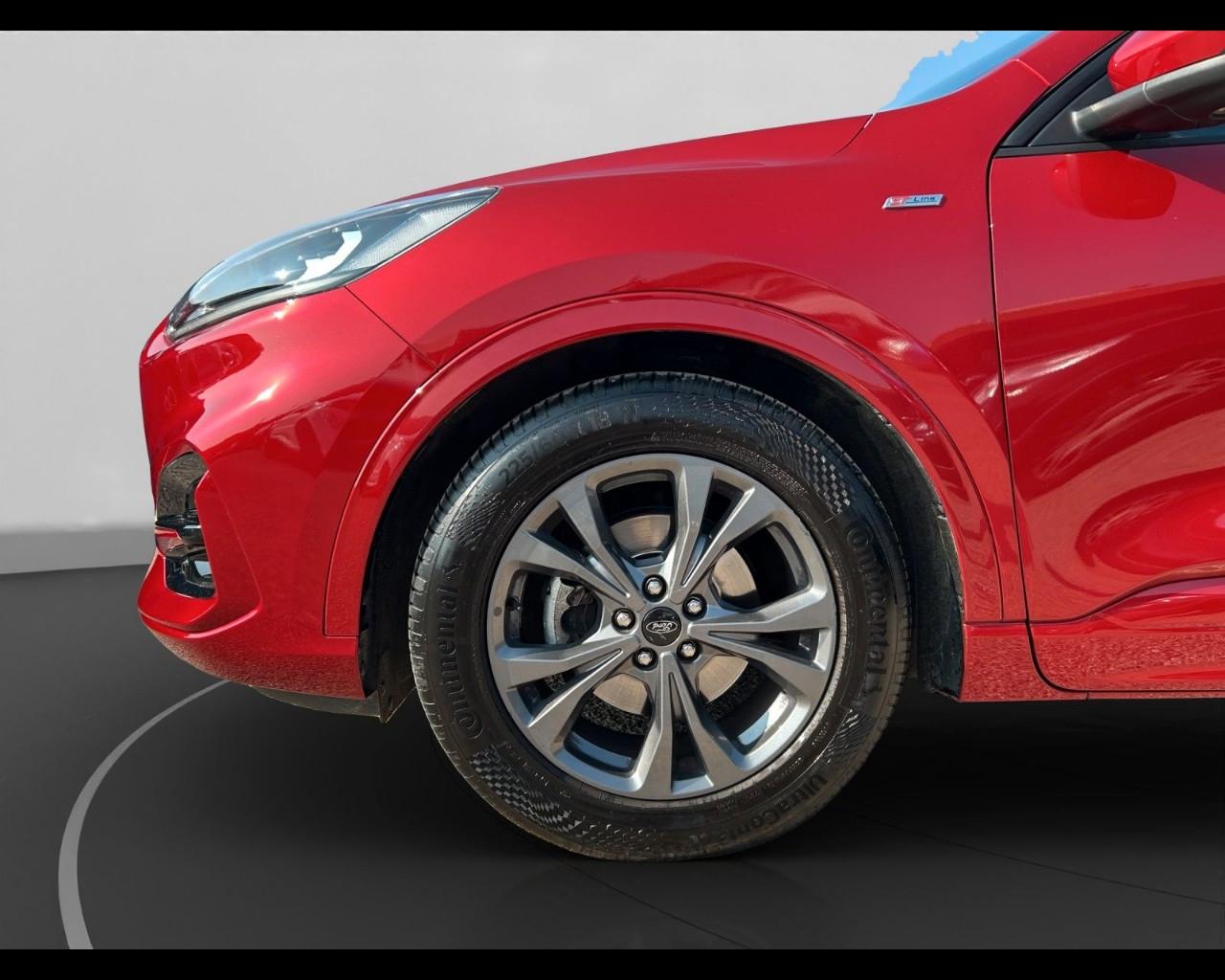 FORD Kuga III 2020 - Kuga 1.5 ecoblue ST-Line 2wd 120cv