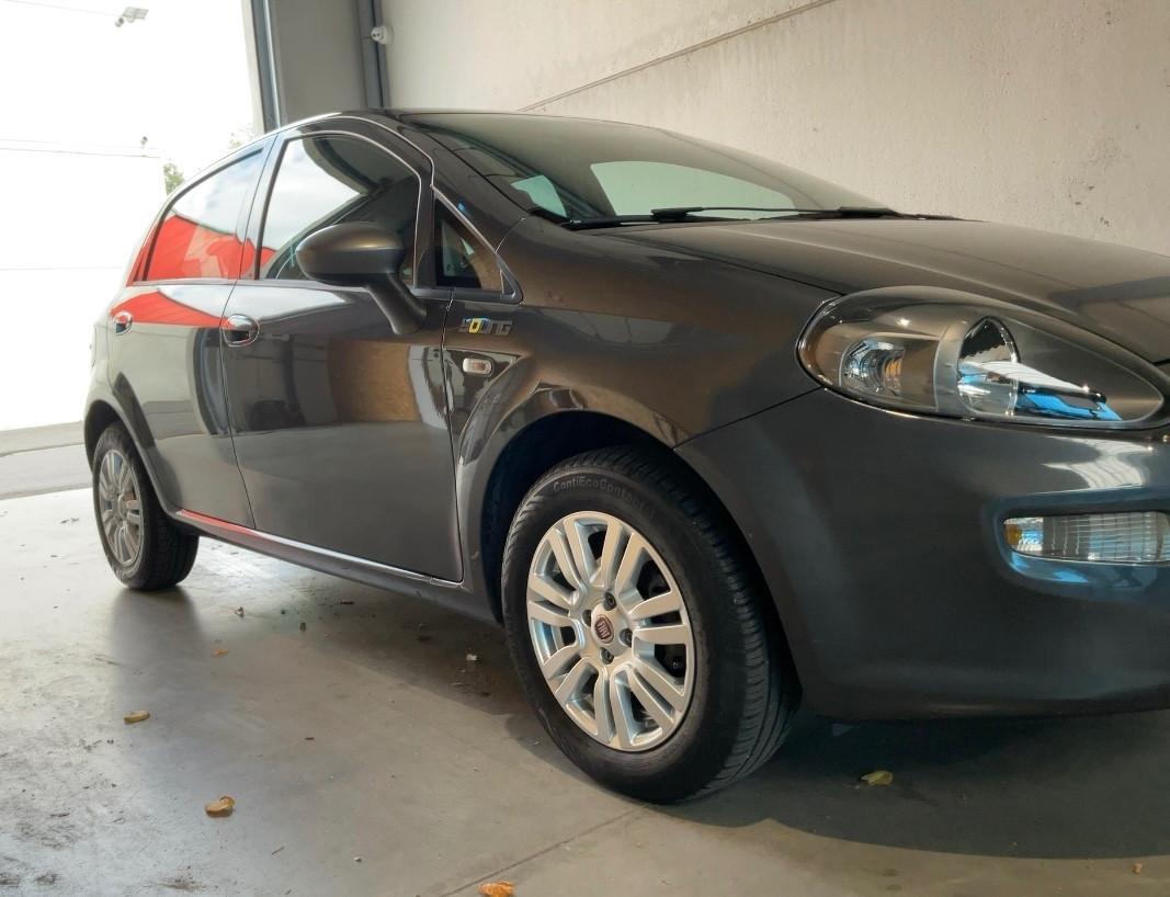 Fiat Punto 1.2 8V 5 porte Young-solo km 55834-
