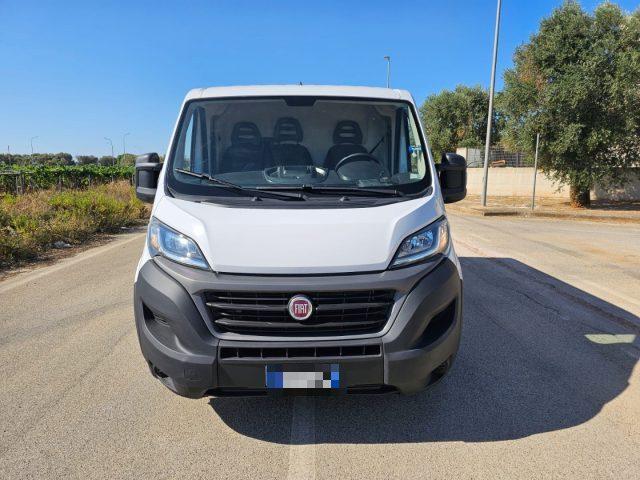 FIAT Ducato 30 2.3 MJT 120CV PC-TN Furgone