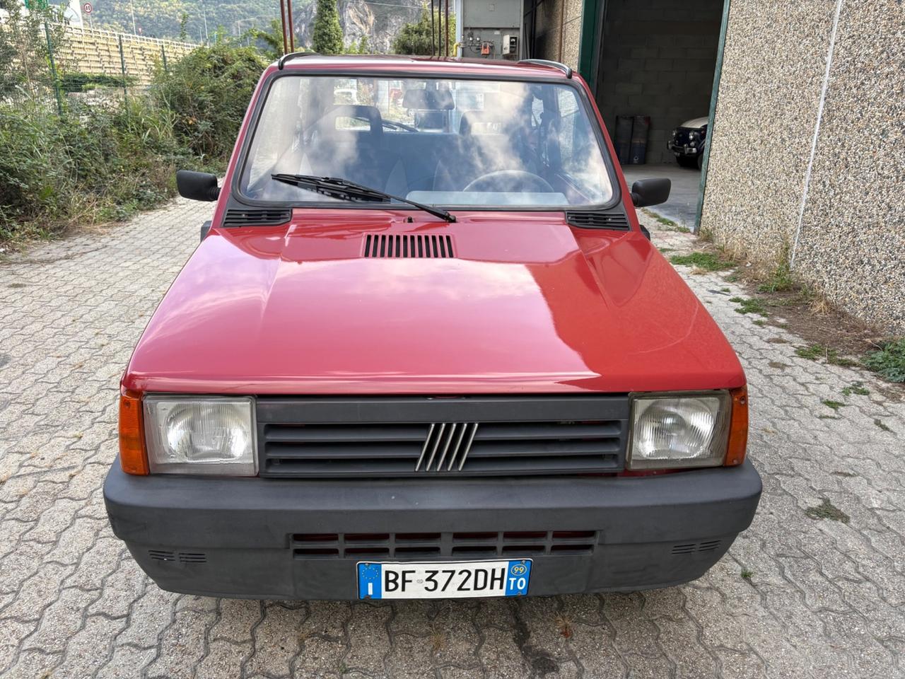 Fiat Panda 900 i.e. cat Young