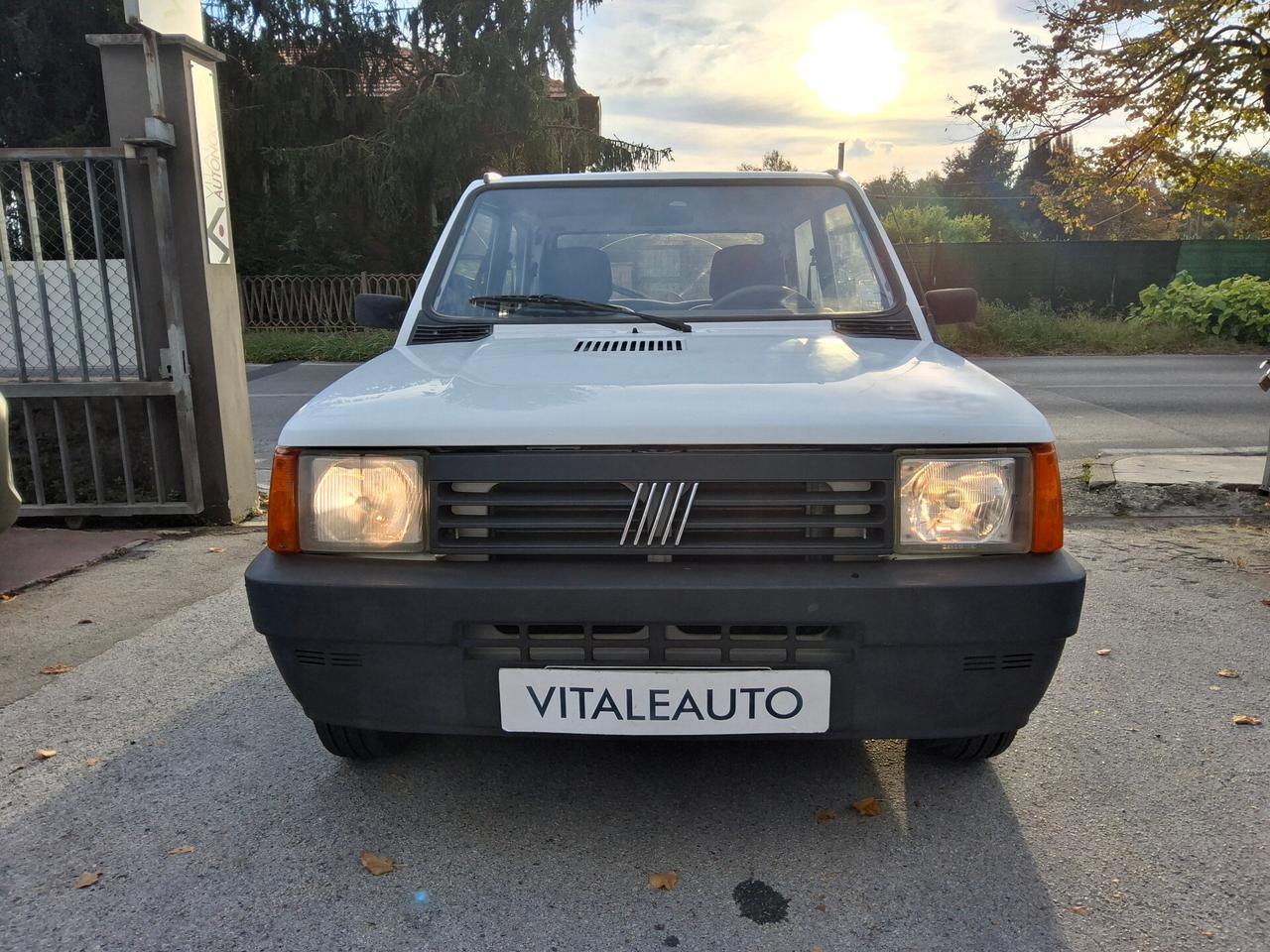 Fiat Panda 900 i.e. cat Young
